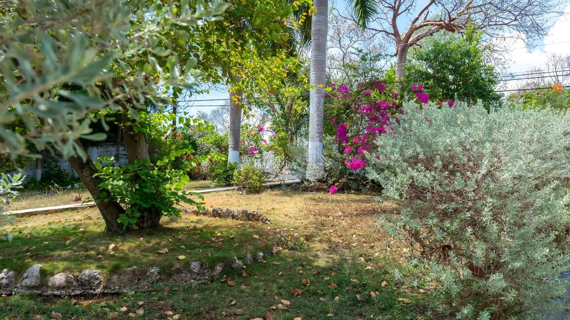 מונטגו ביי The Carhampton Villa ג'מייקה